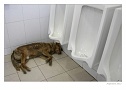 Klikn�te pro zv�t�en�.