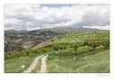 Klikn�te pro zv�t�en�.
