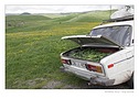 Klikn�te pro zv�t�en�.
