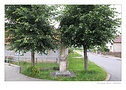 Klikn�te pro zv�t�en�.