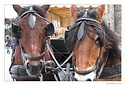 Klikn�te pro zv�t�en�.