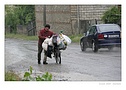 Klikn�te pro zv�t�en�.