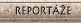 Report�e