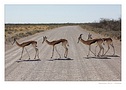 Klikn�te pro zv�t�en�.