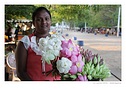 Klikn�te pro zv�t�en�.
