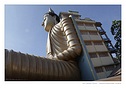 Klikn�te pro zv�t�en�.