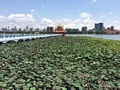 Klikn�te pro zv�t�en�.