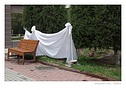 Klikn�te pro zv�t�en�.